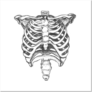 Skeleton Ribcage Posters and Art